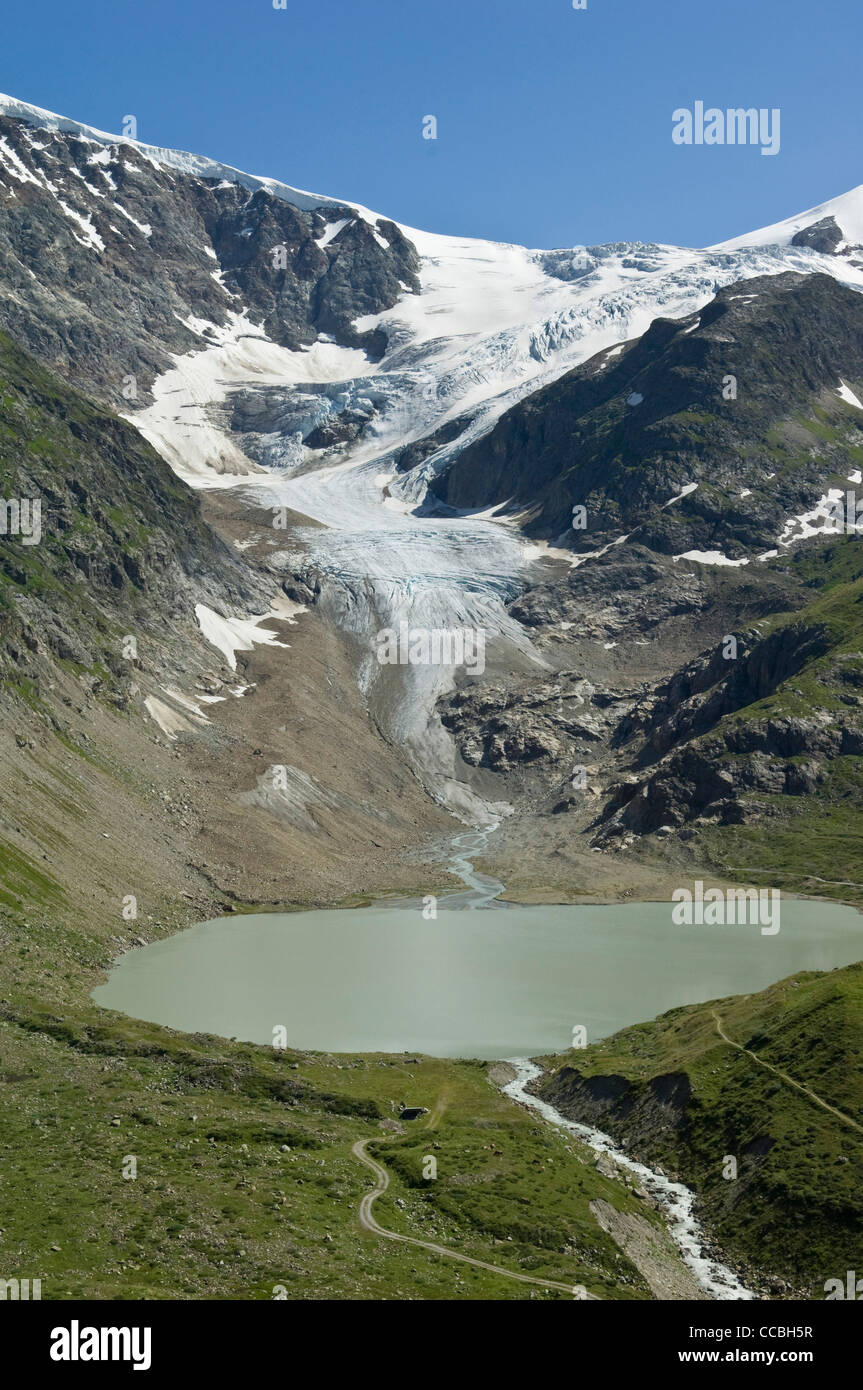 steingletscher glacier, sustenpass, switzerland Stock Photo Alamy