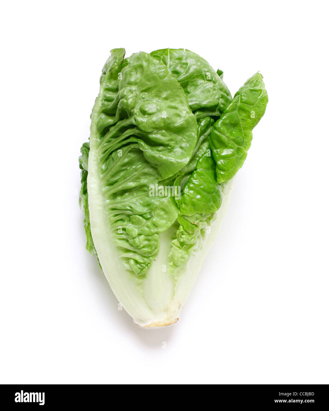 Romaine salad isolated on white Stock Photo