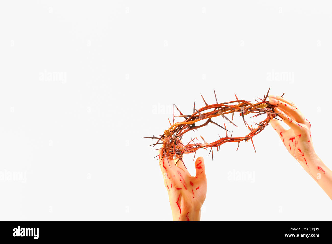 Christ Crown Of Thorns Cut Out Stock Images Pictures Alamy