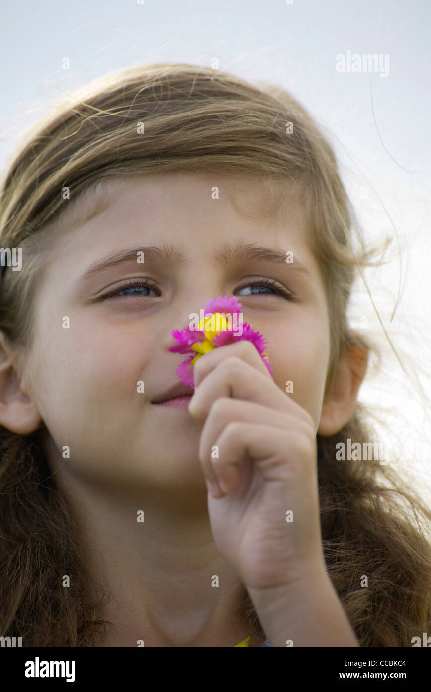 Girl smelling flowers, portrait Stock Photo - Alamy