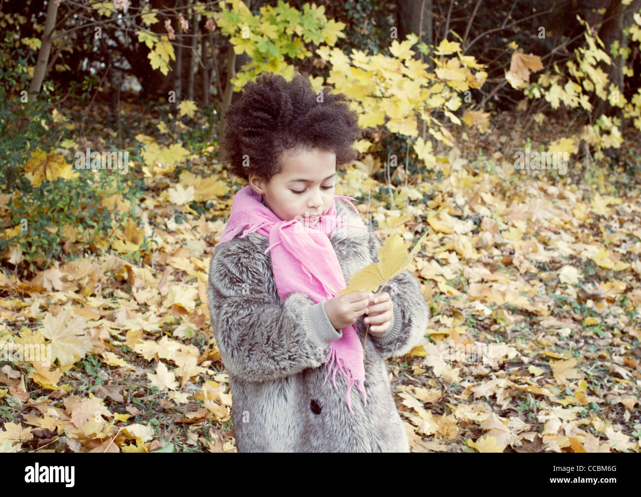 Little girl holding autumn leaf, portrait Stock Photo - Alamy