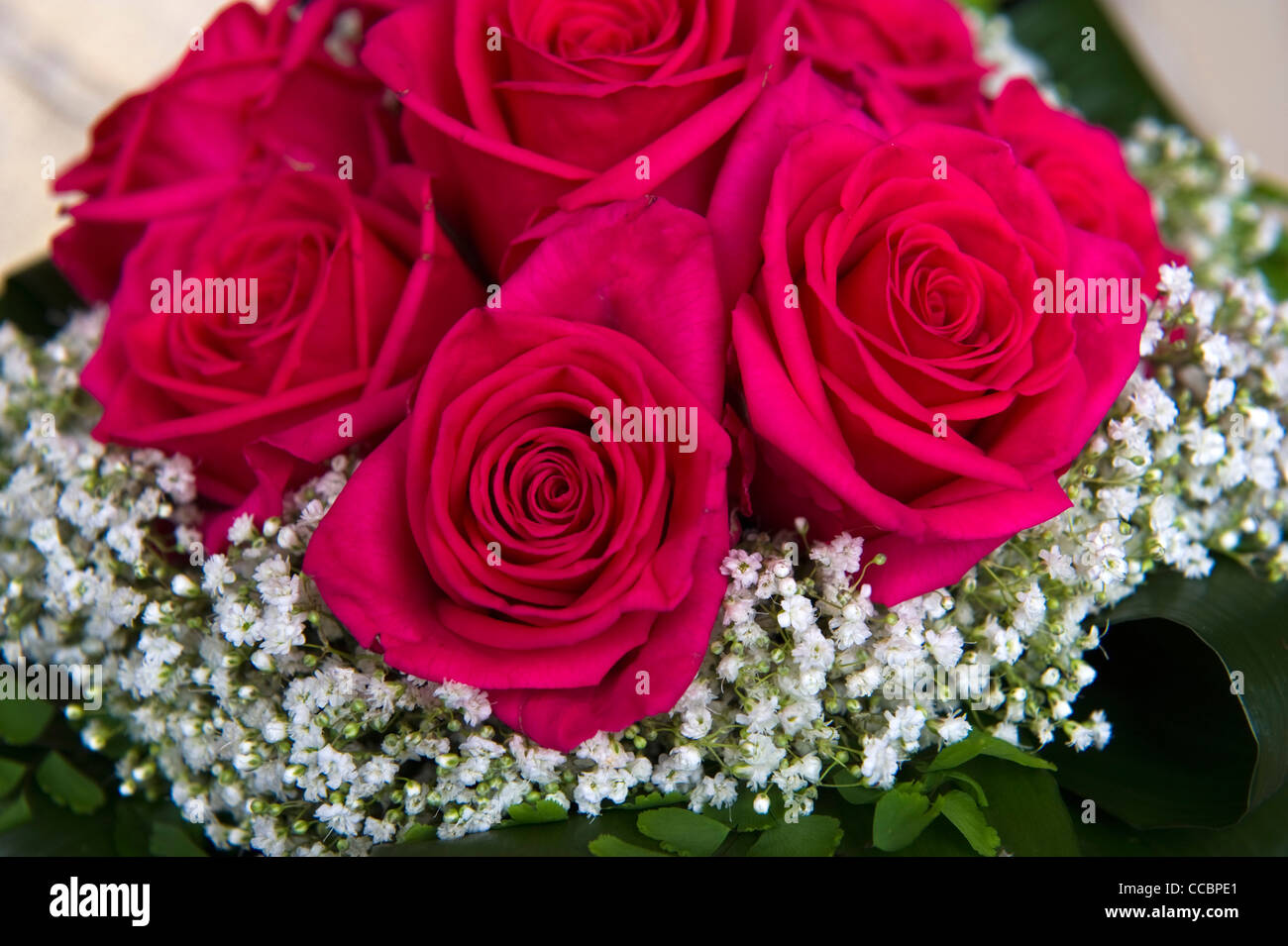Red Roses Italy red roses bouquet, casnigo, italy Stock Photo - Alamy