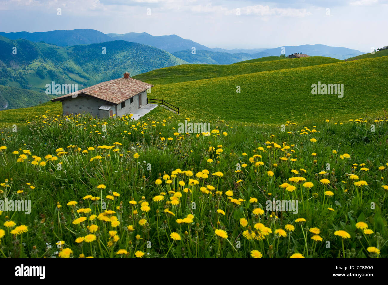 meadow with dandelions and farmhouse, farno mountain, italy Stock Photo