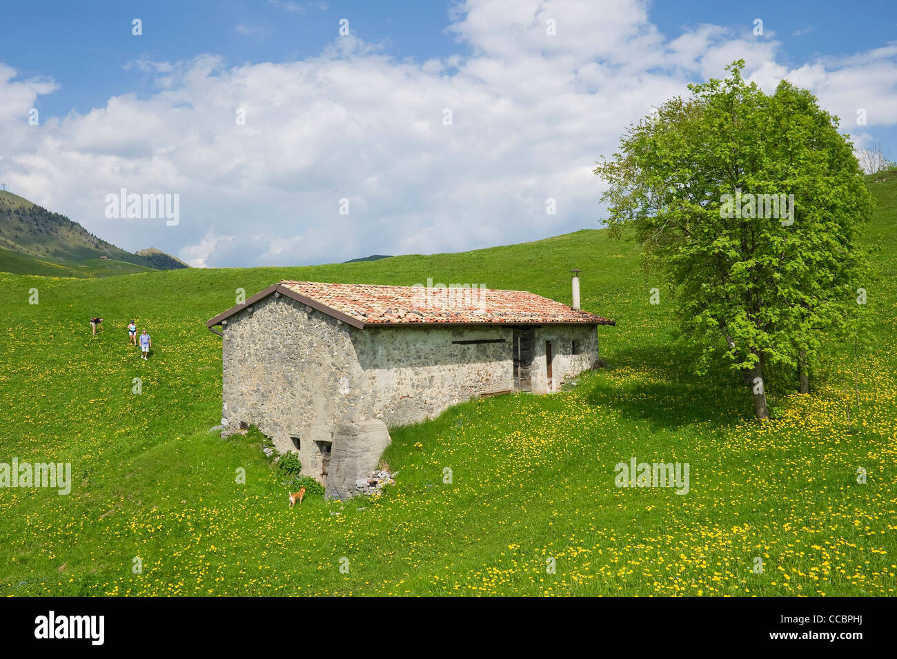 farmhouse and meadow, farno mountain, italy Stock Photo