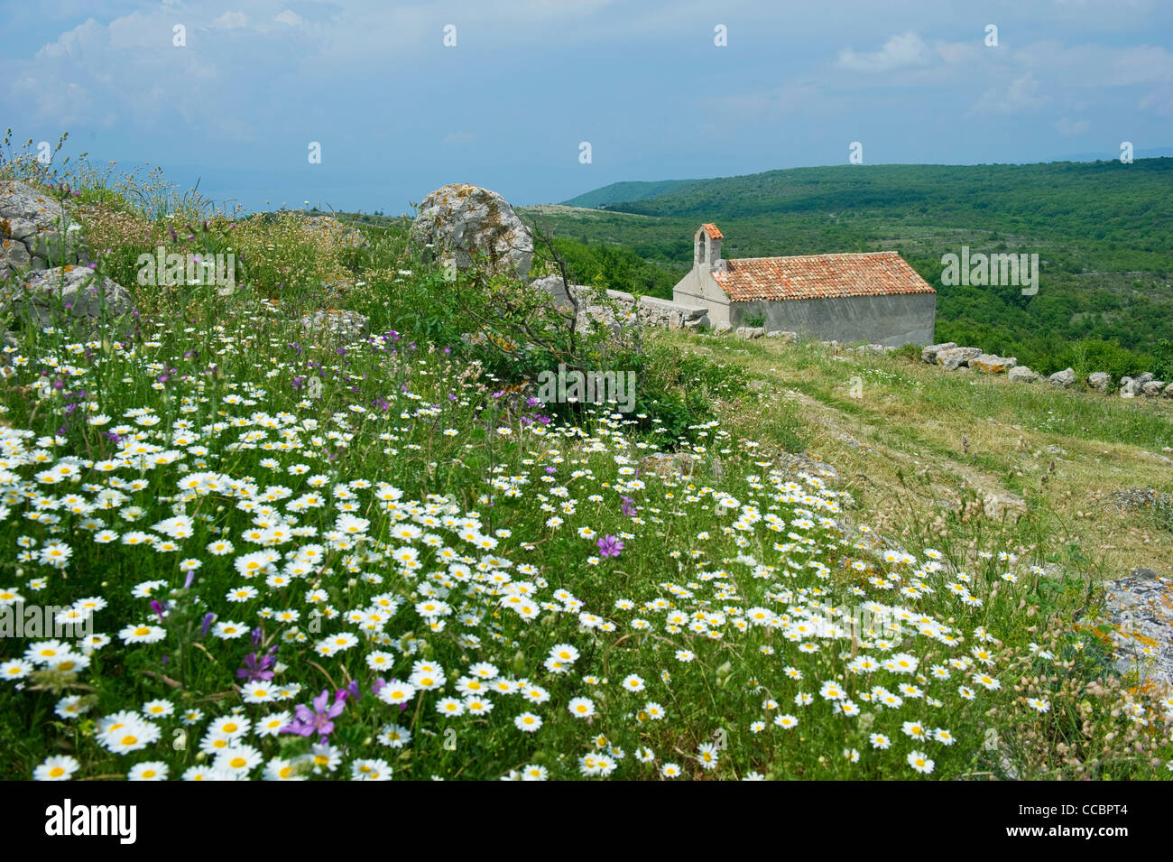 little church, cres island, croatia Stock Photo