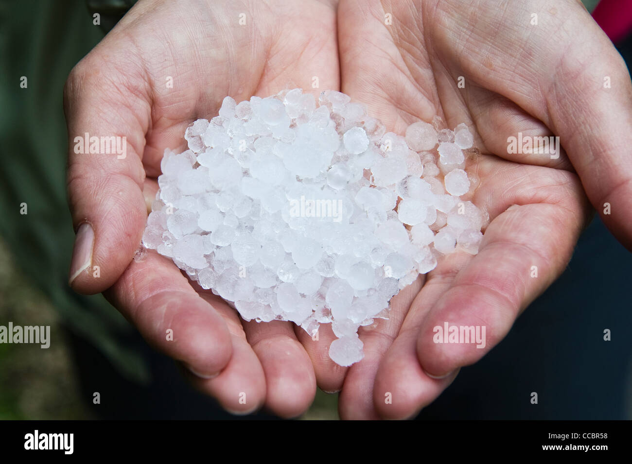 hand with hailstone, cres island, croatia Stock Photo