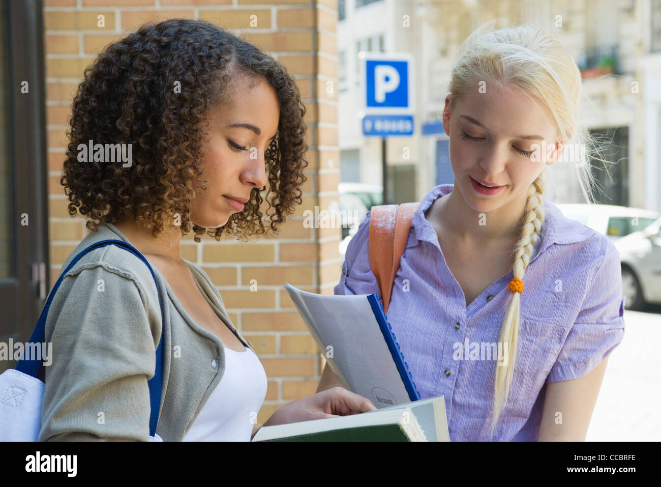 Female college students studying outdoors Stock Photo