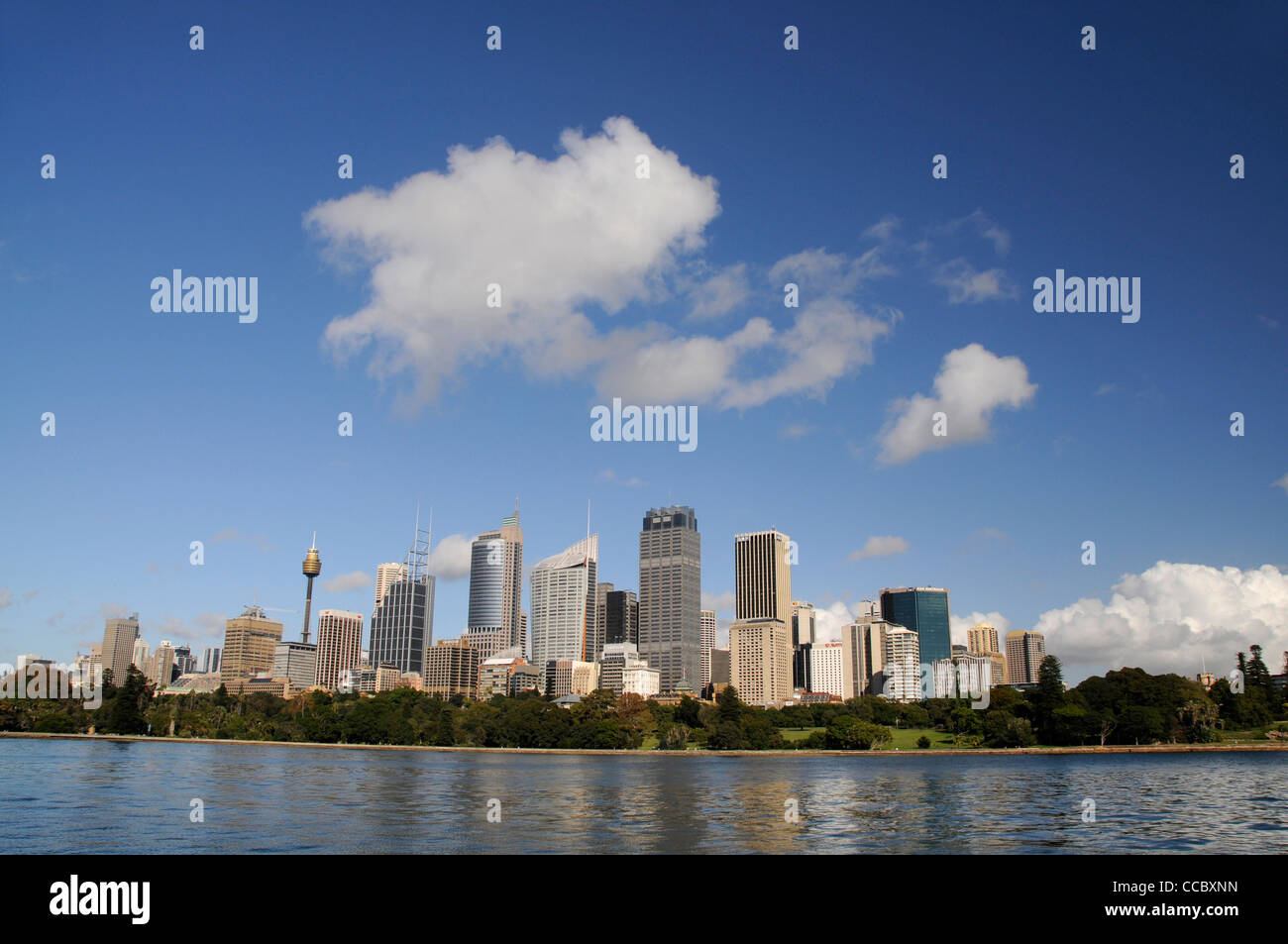 Sydney city centre skyline hi-res stock photography and images - Alamy