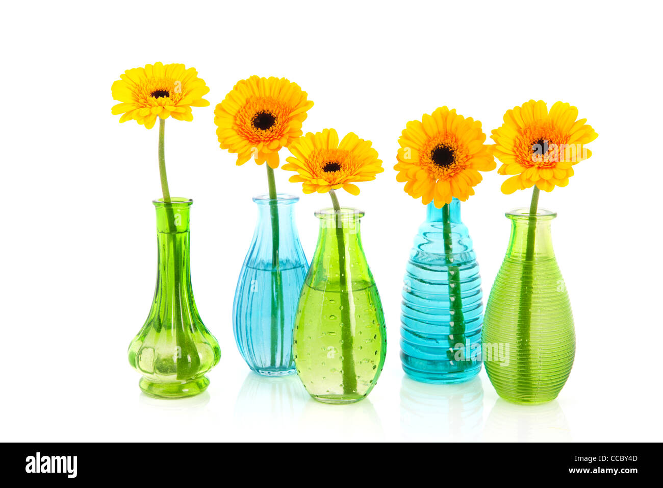 Yellow Gerber flowers in little green and blue vases Stock Photo