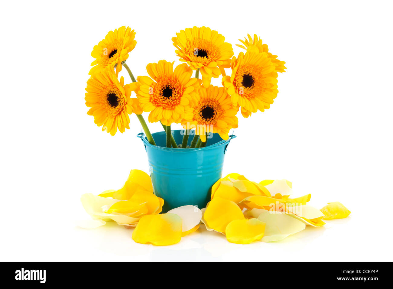 Yellow Gerber & Roses Yellow Gerber & Roses