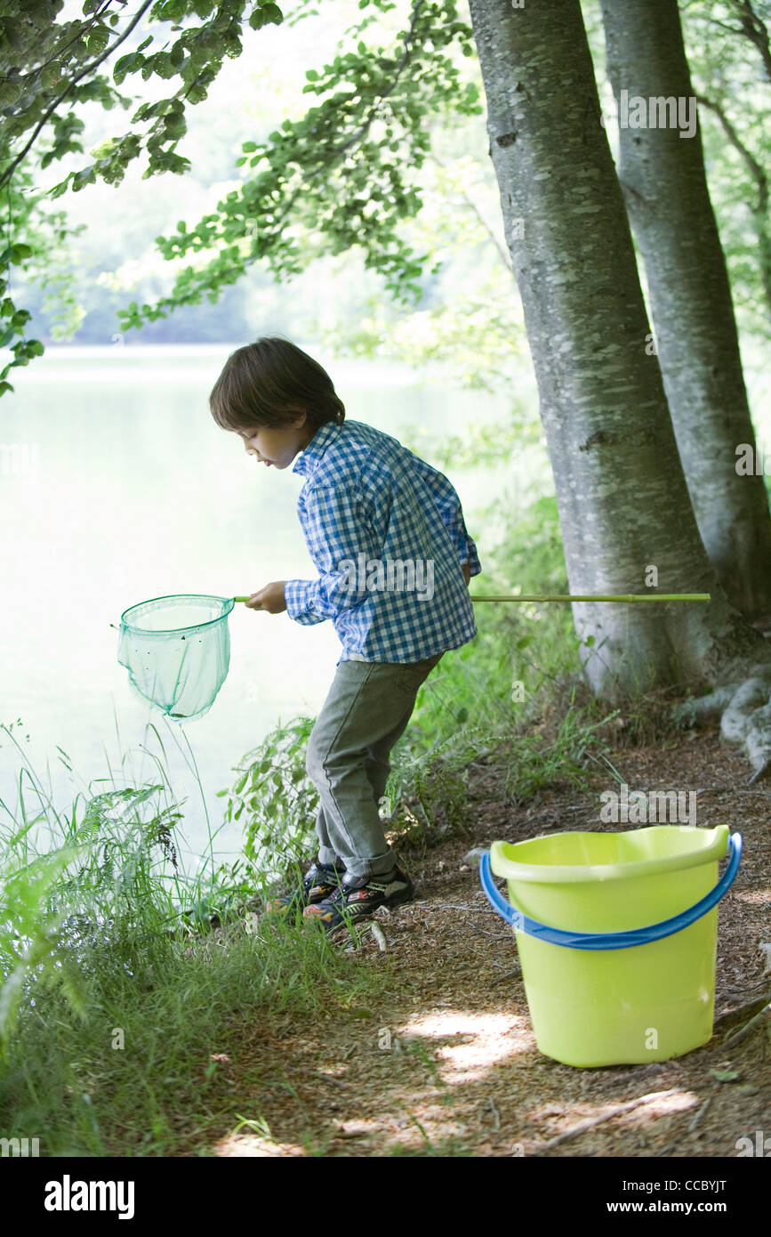 Boy tadpoles hires stock photography and images Alamy