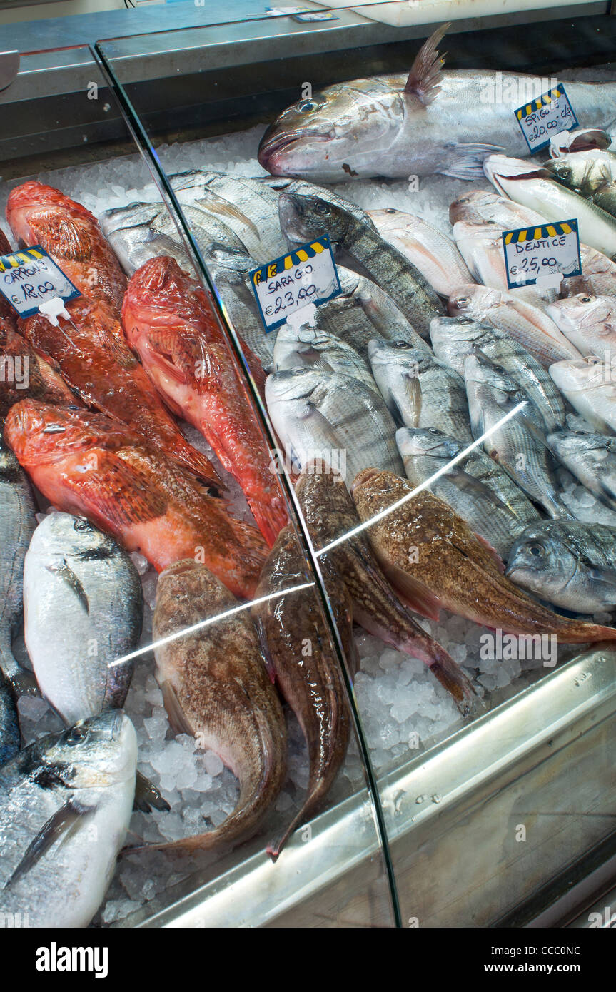 Sette - Otto Pesce fish shop, La Maddalena, Olbia - Tempio district, Sardinia, Italy, Europe Stock Photo