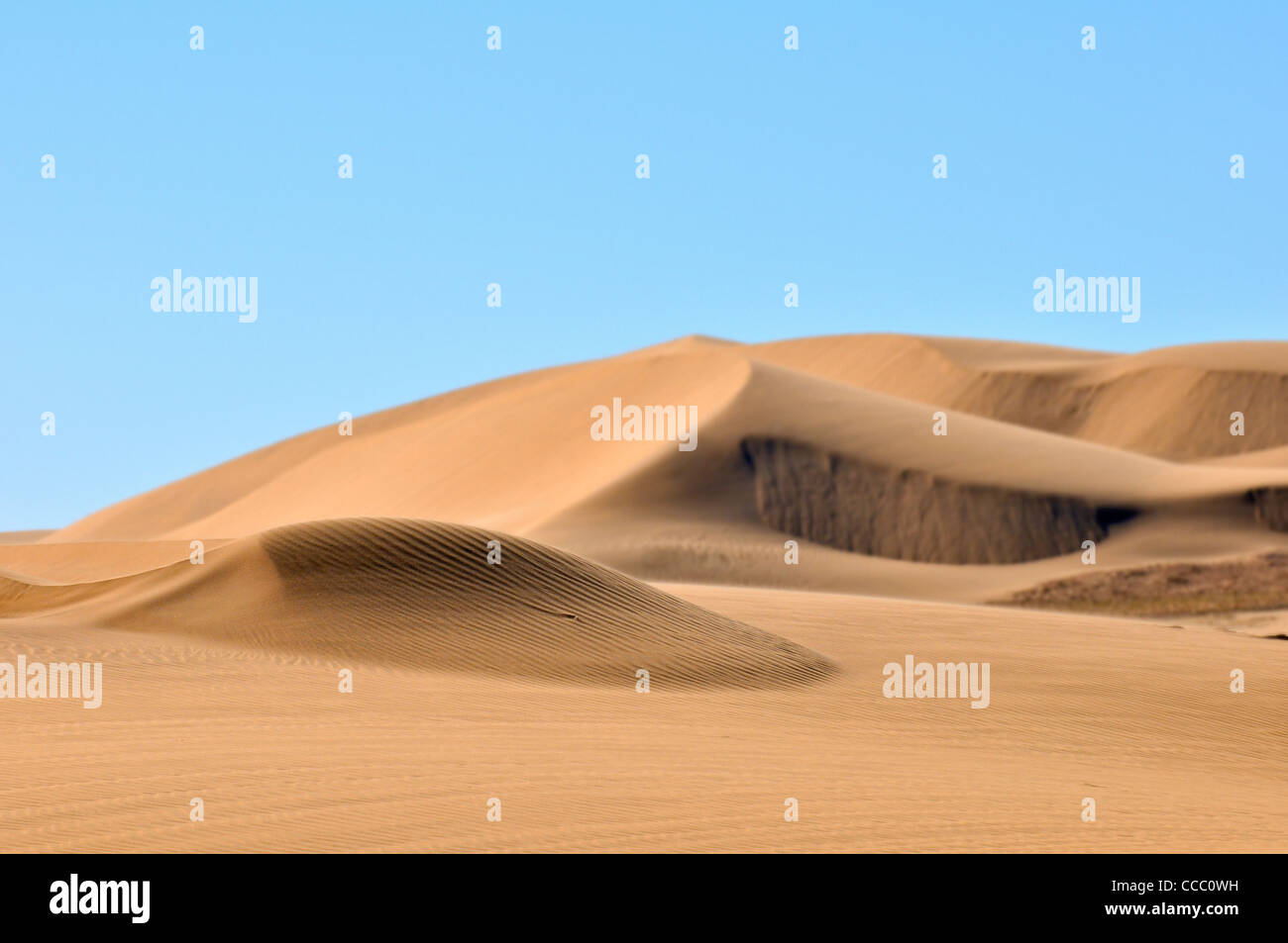 Sand ripples on dunes in the Namib desert, Namibia Stock Photo
