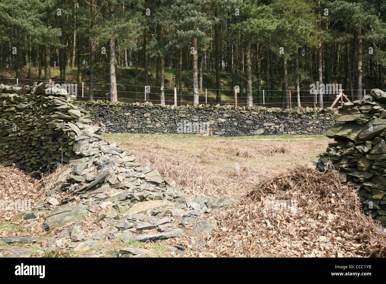 Dry Stone Wall In Bradgate Park Leicestershire Stock Photo Alamy dry-stone-wall-in-bradgate-park-leicestershire-stock-photo-alamy