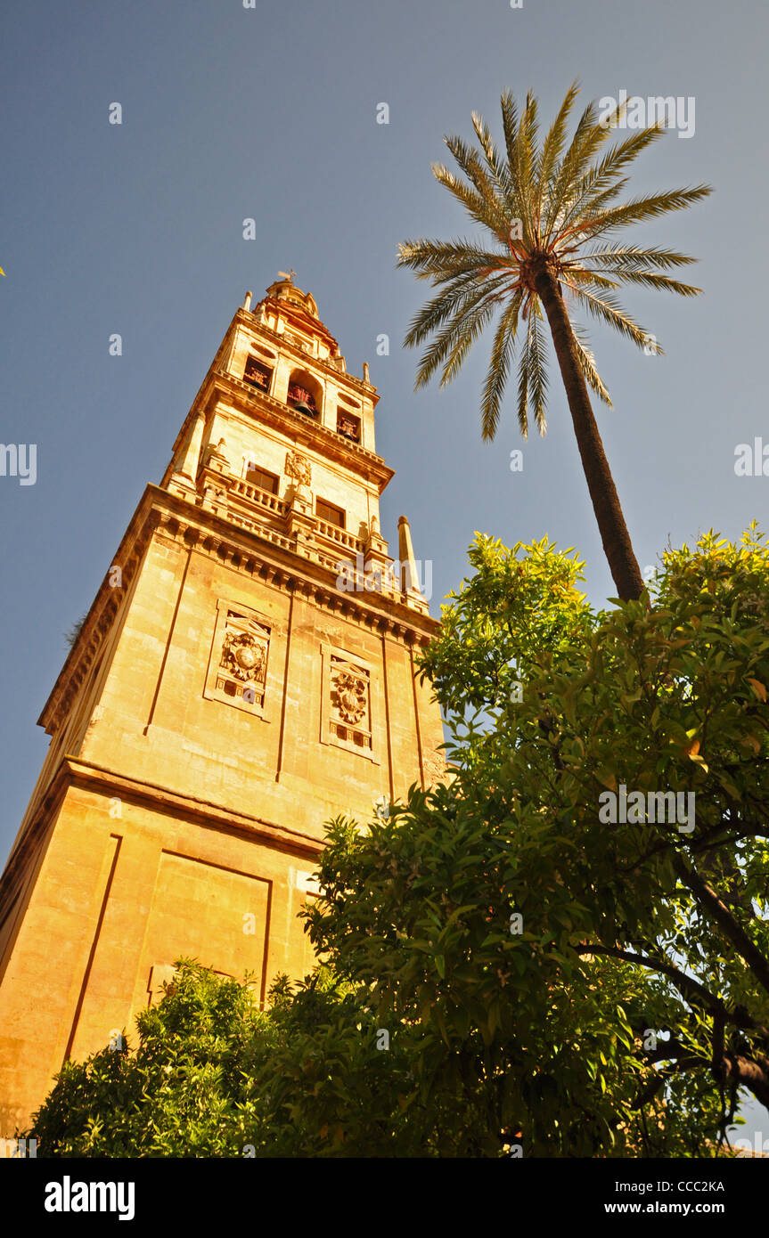 EUROPE, SPAIN, Cordoba, Mezquita (originally 8th Century Mosque), converted to a bell tower Stock Photo