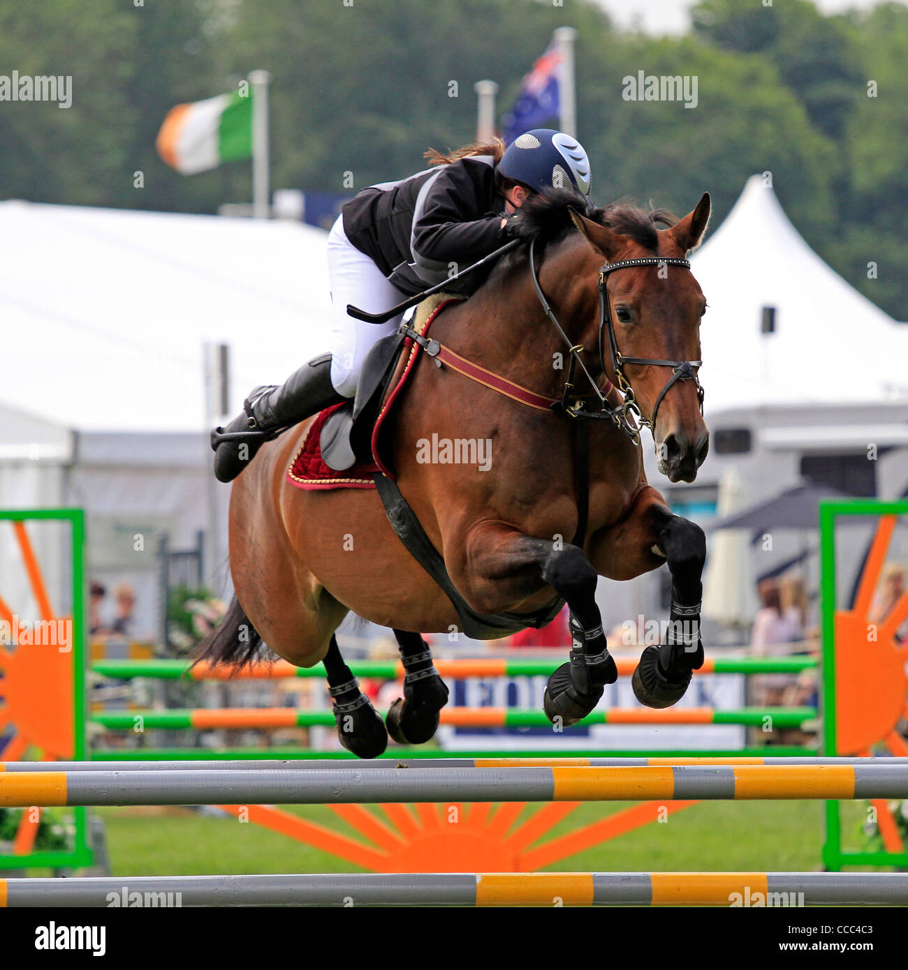 horse jump stock photos horse jump stock images alamy