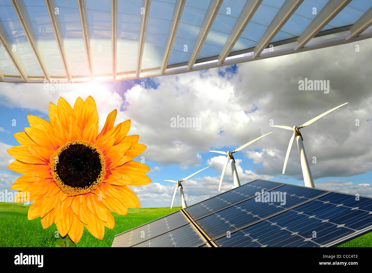 Sunflowers, solar panels and wind turbines in a green field Stock Photo ...