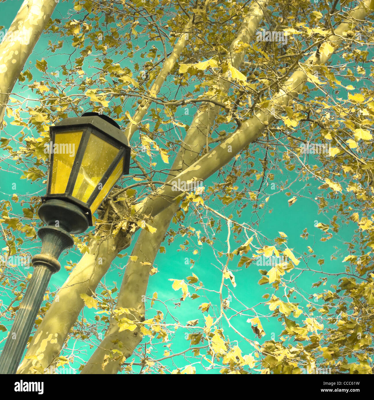 Square post leaves hi-res stock photography and images - Alamy