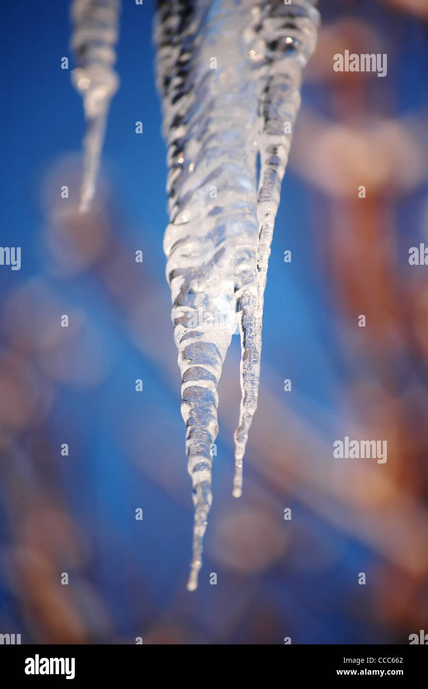 Icicles hanging on colorful background Stock Photo