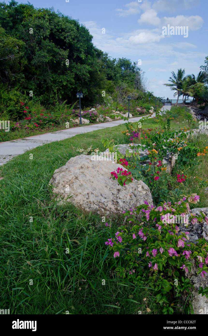 Path to beach at Cayo Las Brujas, Cuba Stock Photo