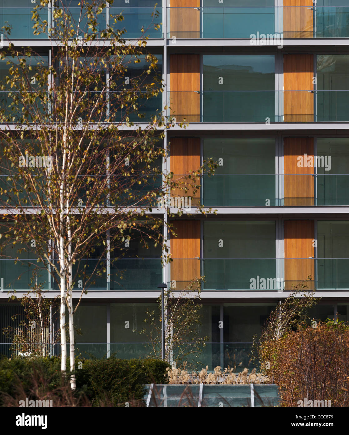 highbury square arsenal stadium residential flats london allies and