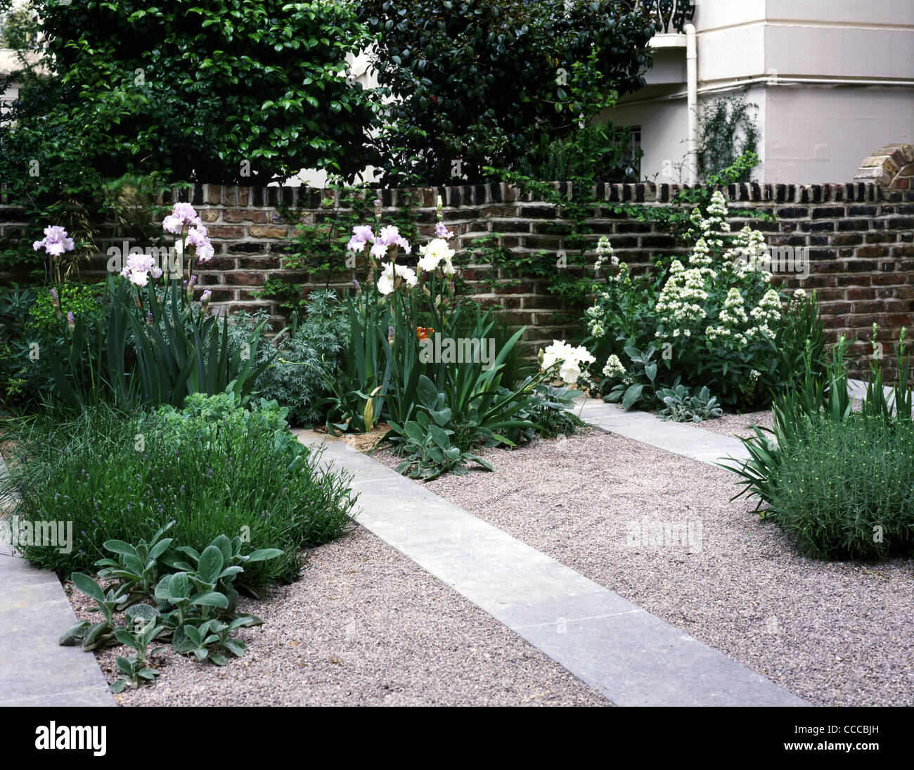 London house front garden hi-res stock photography and images - Alamy