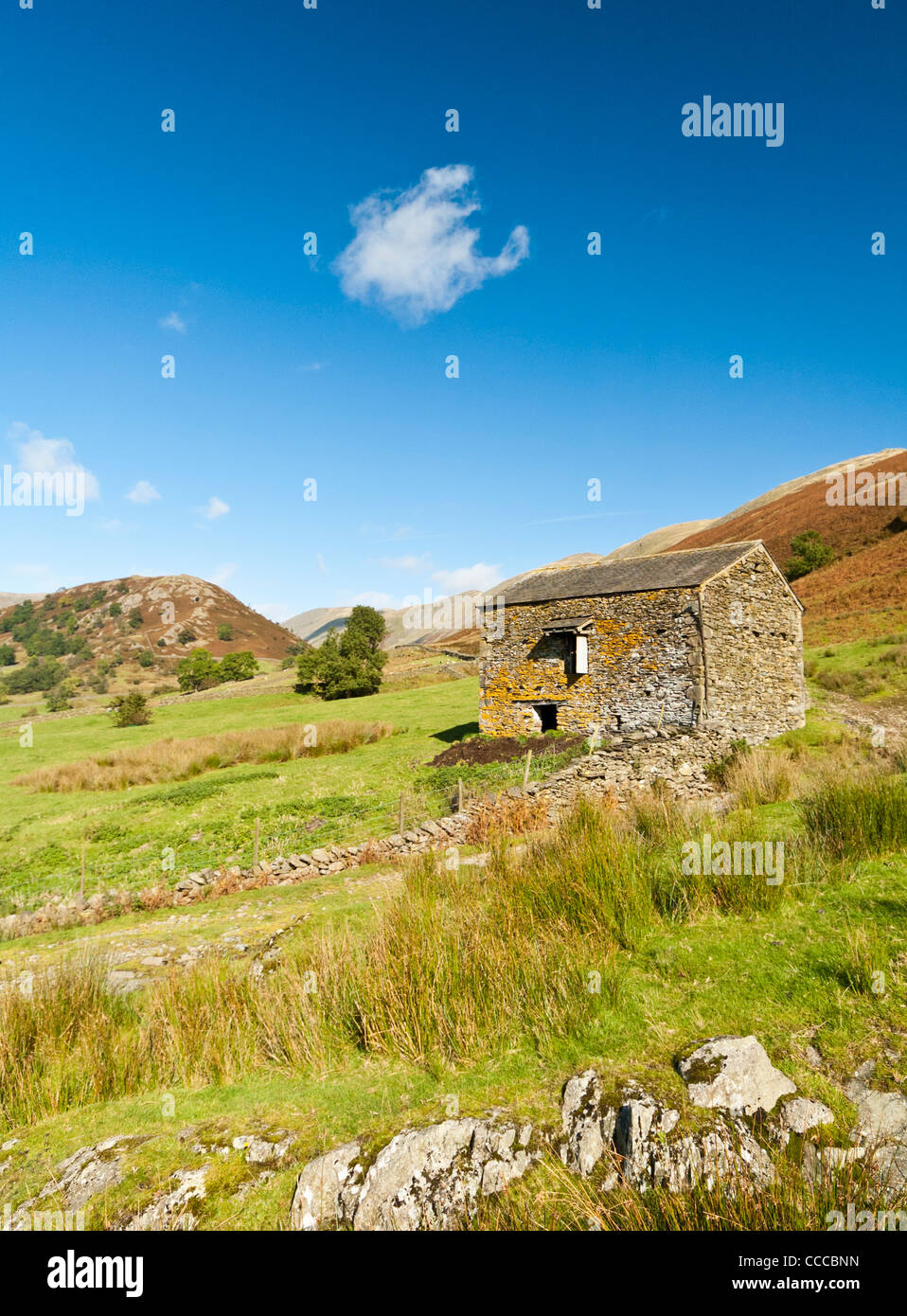 Old farm building on a sheep farm in cumbria on a very sunny day Stock Photo