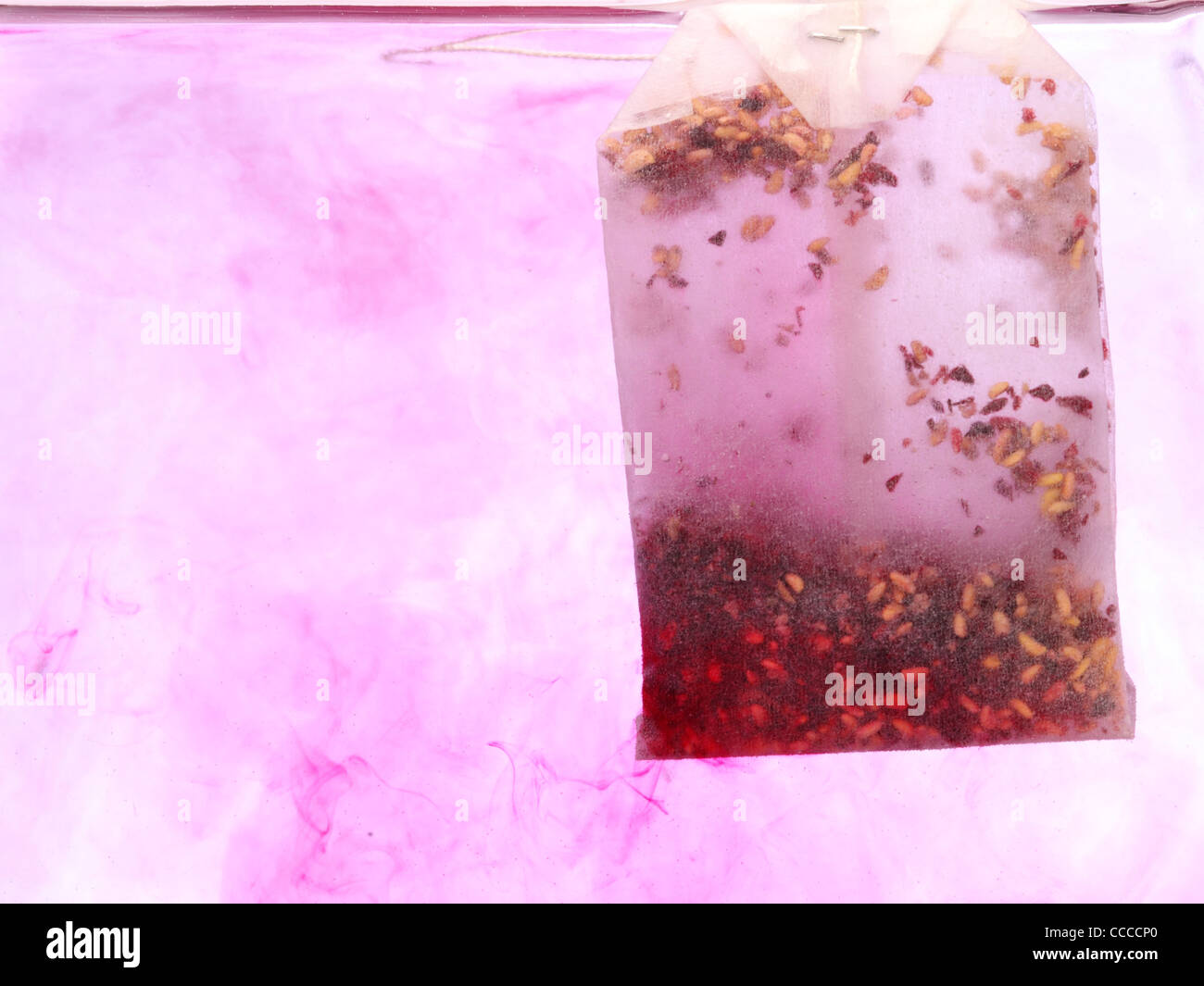 red Teabag in hot water in white background Stock Photo Alamy