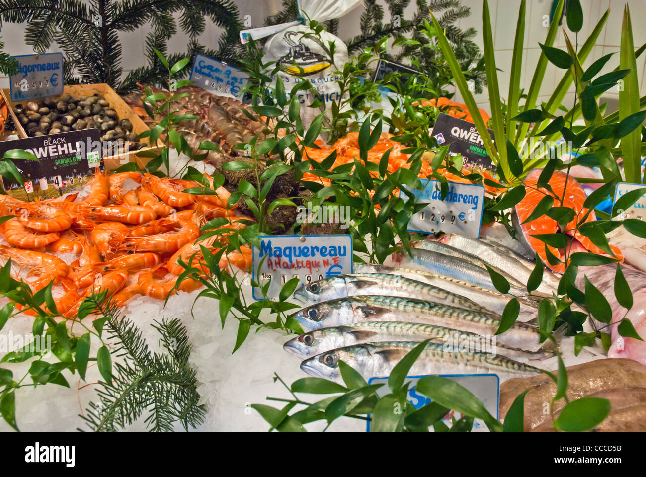 Fresh fish and sea food for sale on a typical French stall, brightly coloured langustine, mackerel, tuna on ice, decorated Stock Photo