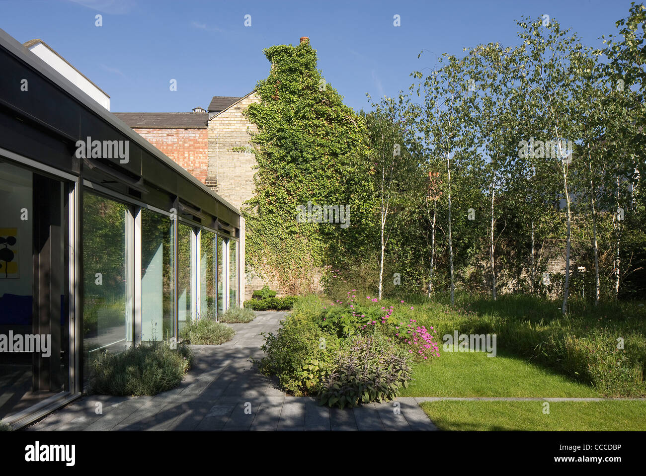 3a Hampstead Lane, Duggan Morris Architects, Exterior, showing landscape garden Stock Photo