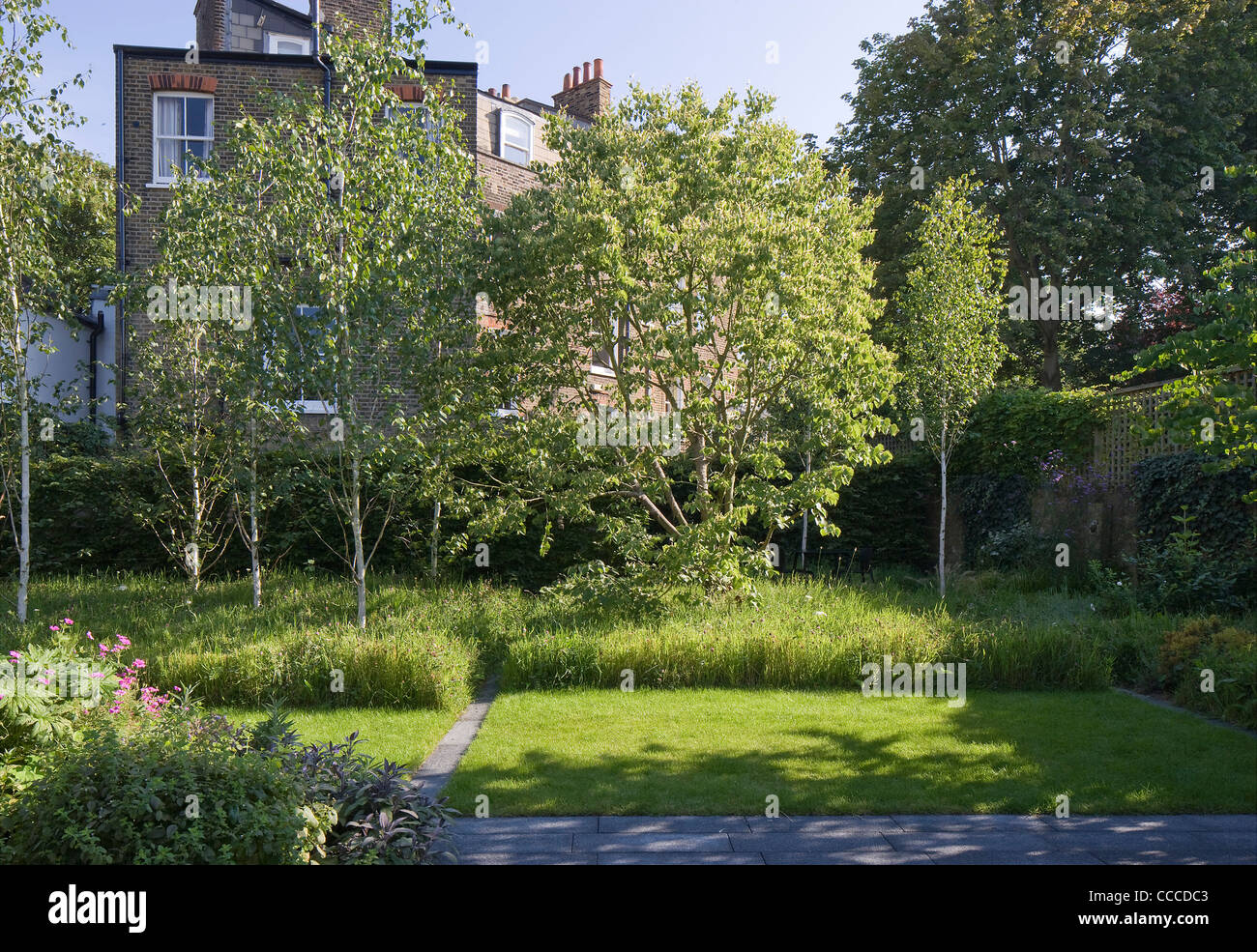 3a Hampstead Lane, Duggan Morris Architects, Exterior, showing landscape garden Stock Photo