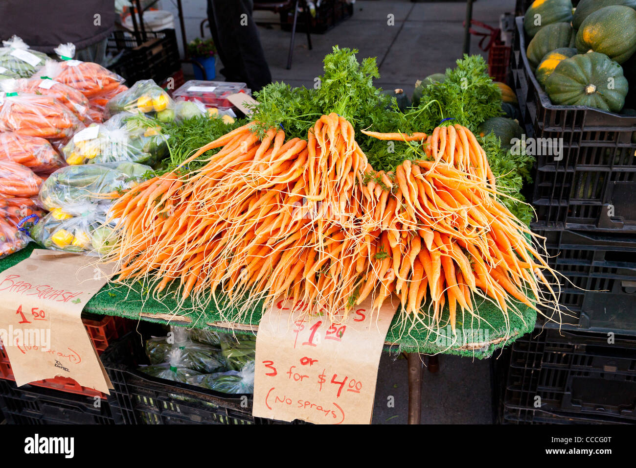 Bundles of organic carrots at local farmers market - San Francisco, California USA Stock Photo
