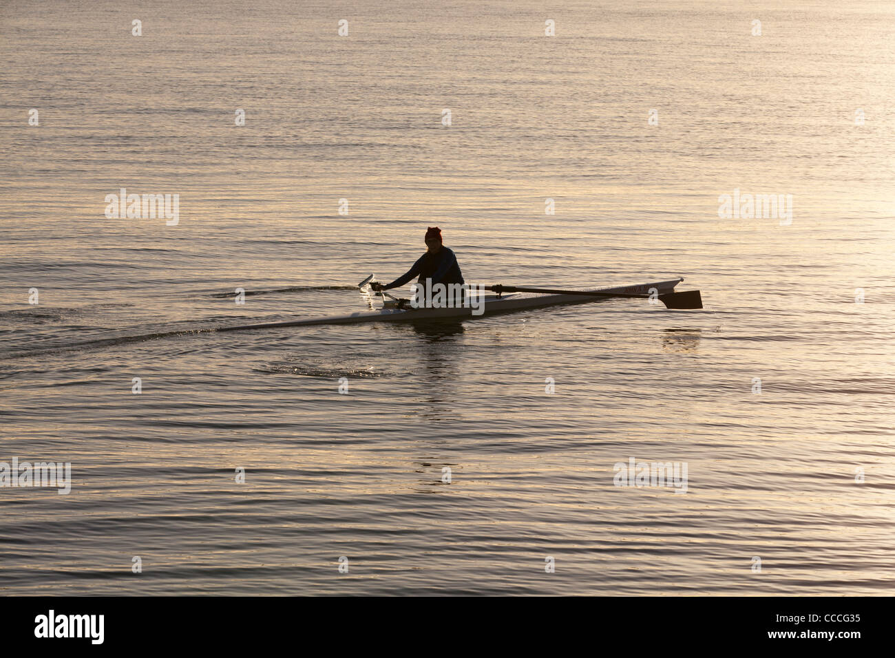 A rower in a single scull boat Stock Photo
