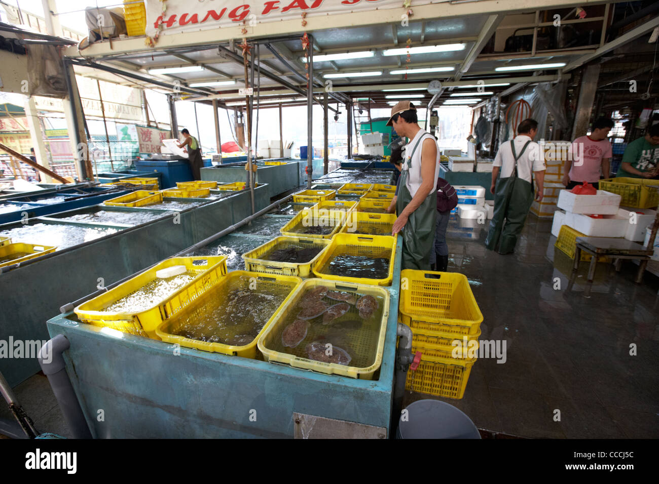 Aberdeen wholesale fish market hires stock photography and images Alamy