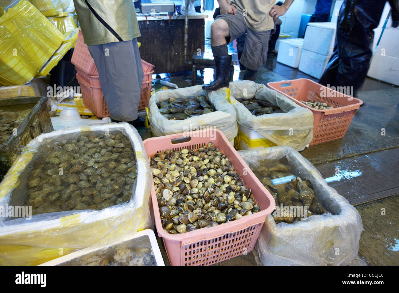 crates of fresh shellfish for sale at aberdeen wholesale fish and seafood market hong kong hksar china asia Stock Photo