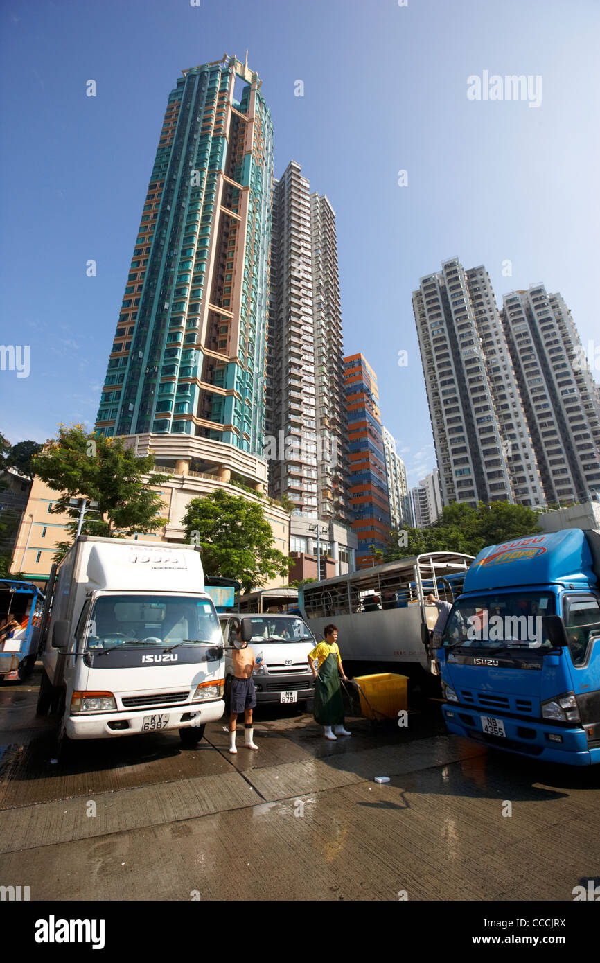 fresh fish and seafood transport vans and trucks for distribution
