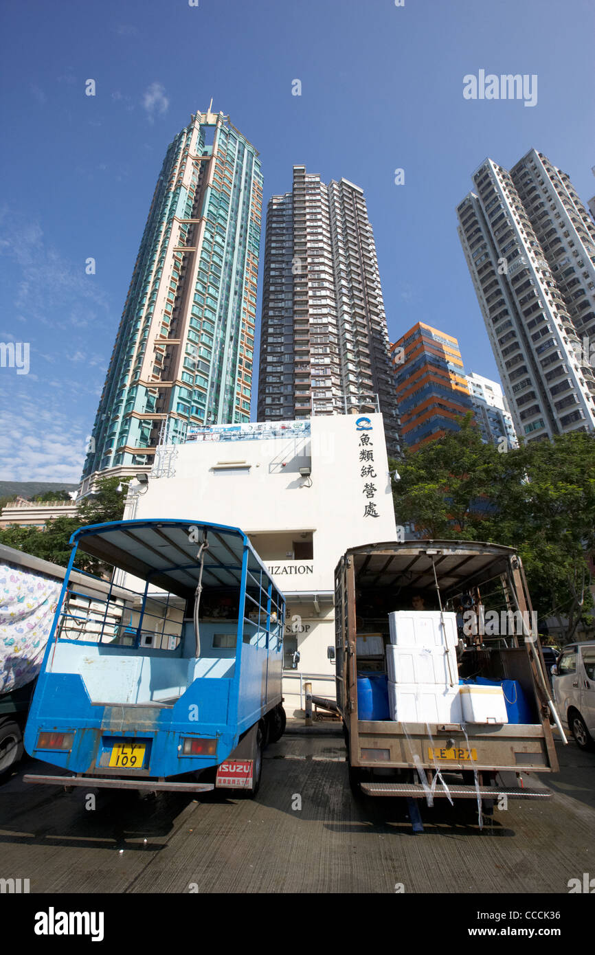 fresh fish and seafood transport vans and trucks for distribution