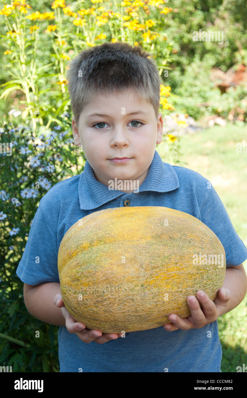 Very large melons hires stock photography and images Alamy