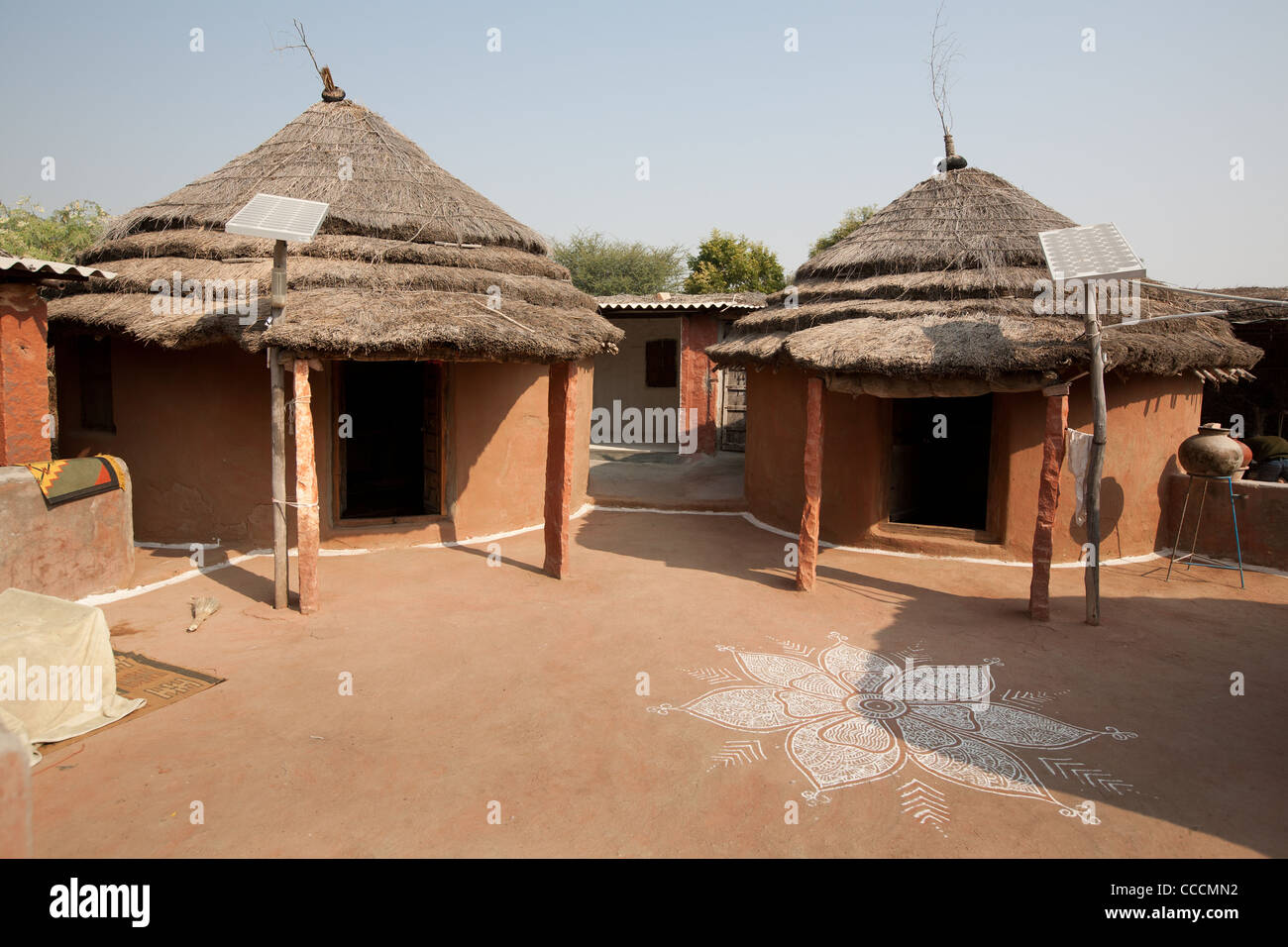 Picture of Salawas