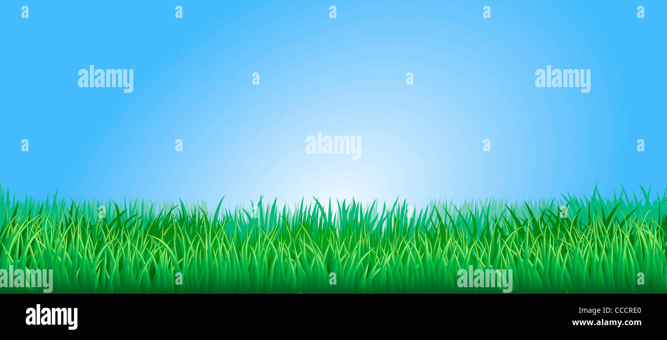 Green grass field or lawn under a clear blue sky Stock Photo