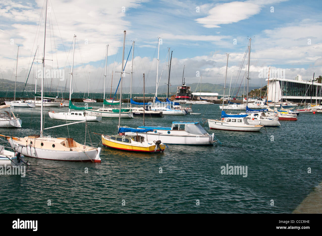 Clyde Quay Boat Harbour by Oriental Parade, Wellington, New Zealand