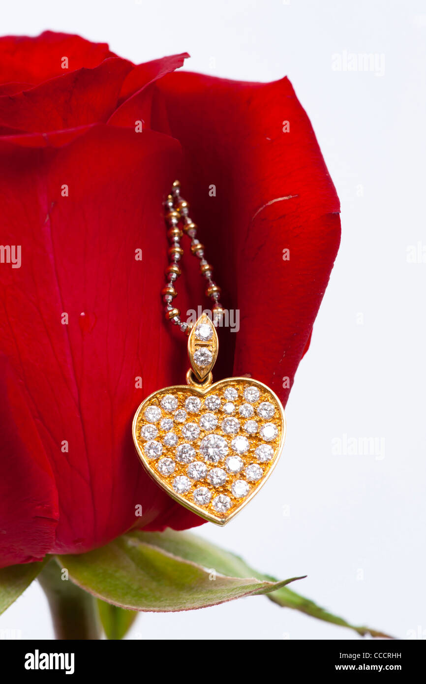 Diamond heart shape pendant and red rose Stock Photo Alamy