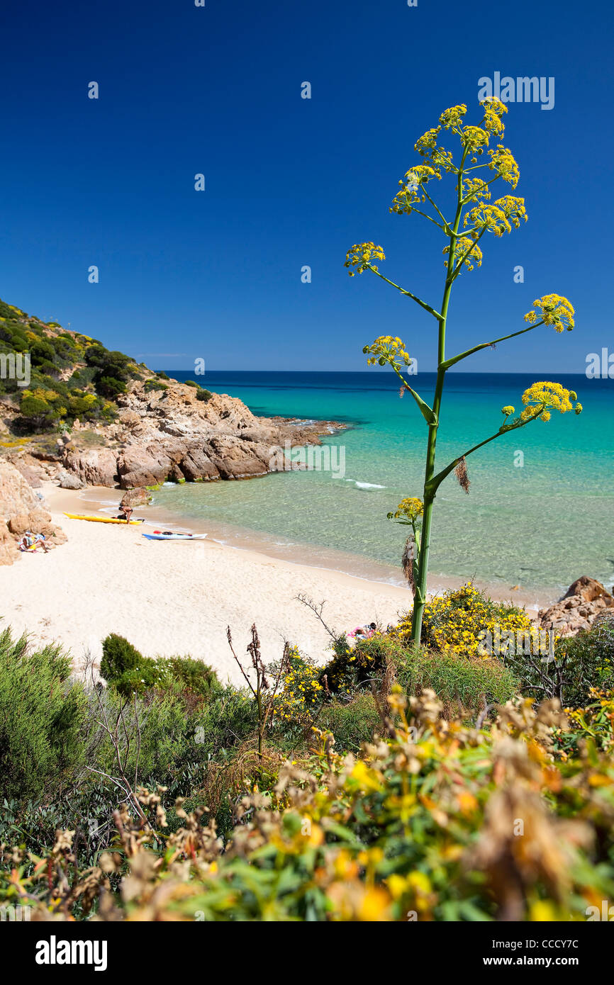 Chia beach, Monte Cogoni, Campana, Chia, Domus De Maria (CA), Sardinia, Italy, Europe Stock Photo