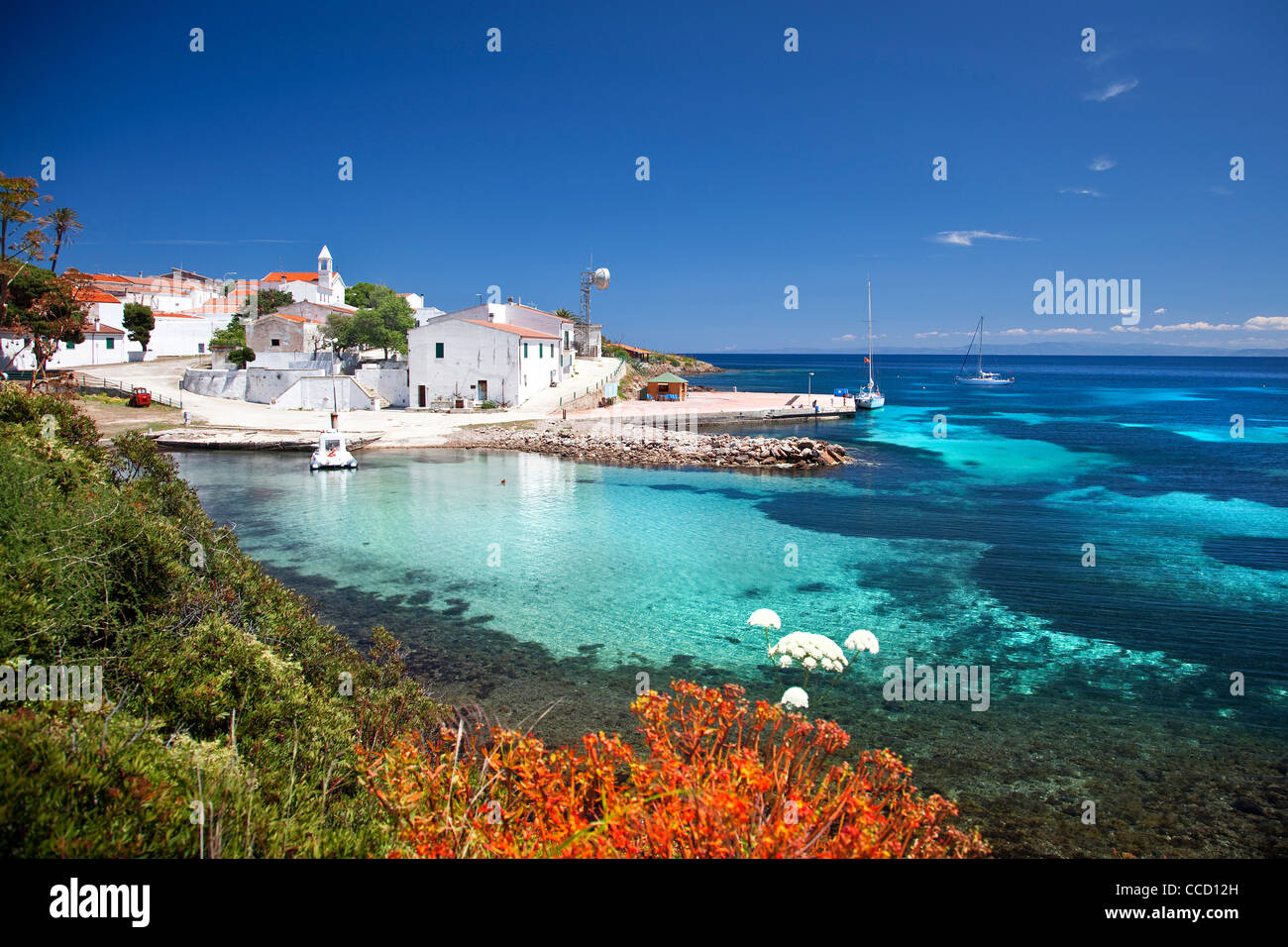 Cala d'Oliva, Asinara island, Porto Torres, Sardinia, Italy, Europe Stock  Photo - Alamy