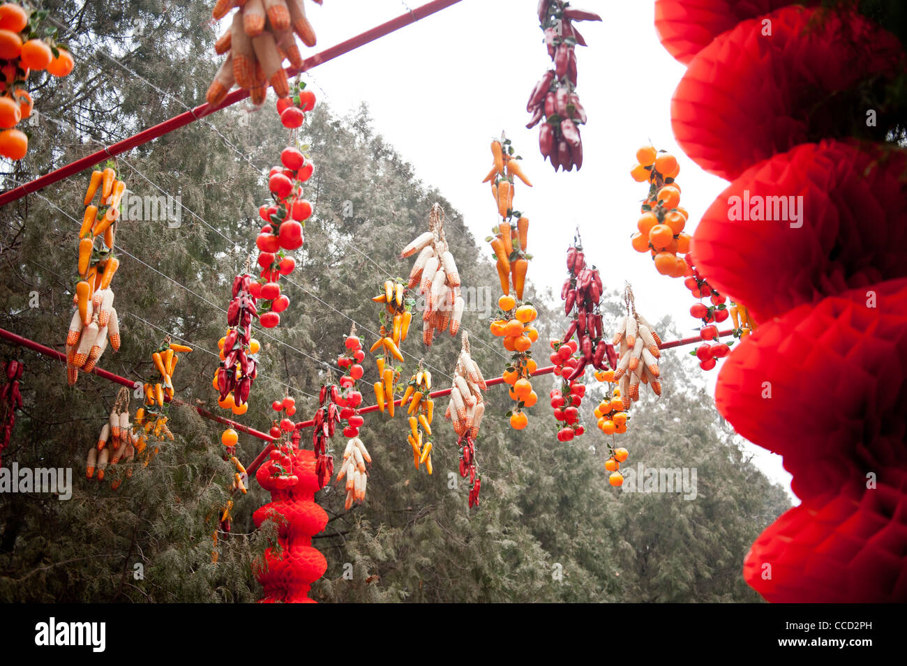 ditan park chinese new year