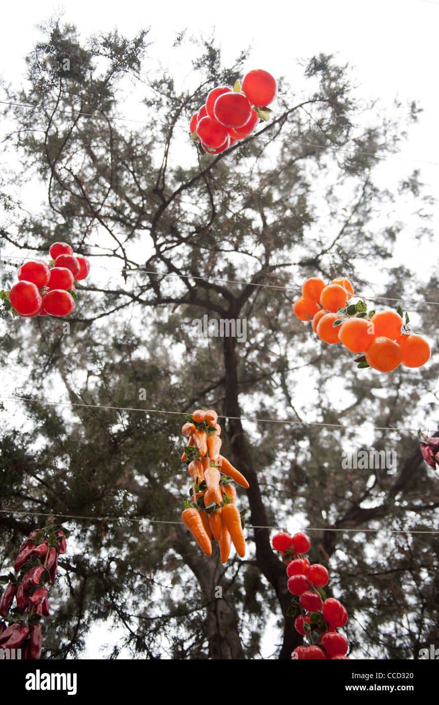 ditan park chinese new year