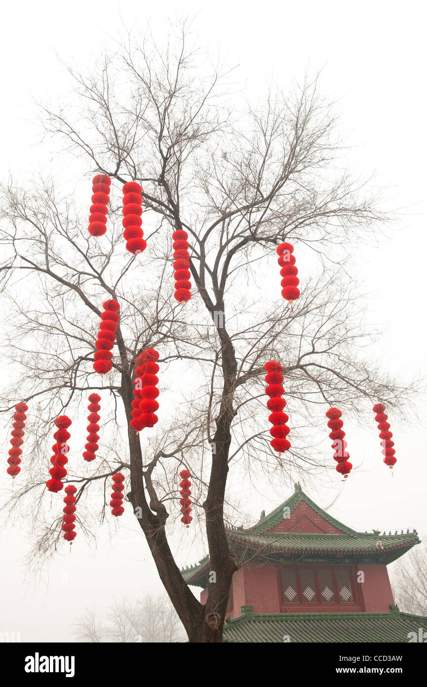 Beijing, DiTan Park (Park of the Temple of the Earth). Chinese New Year decorations. Stock Photo