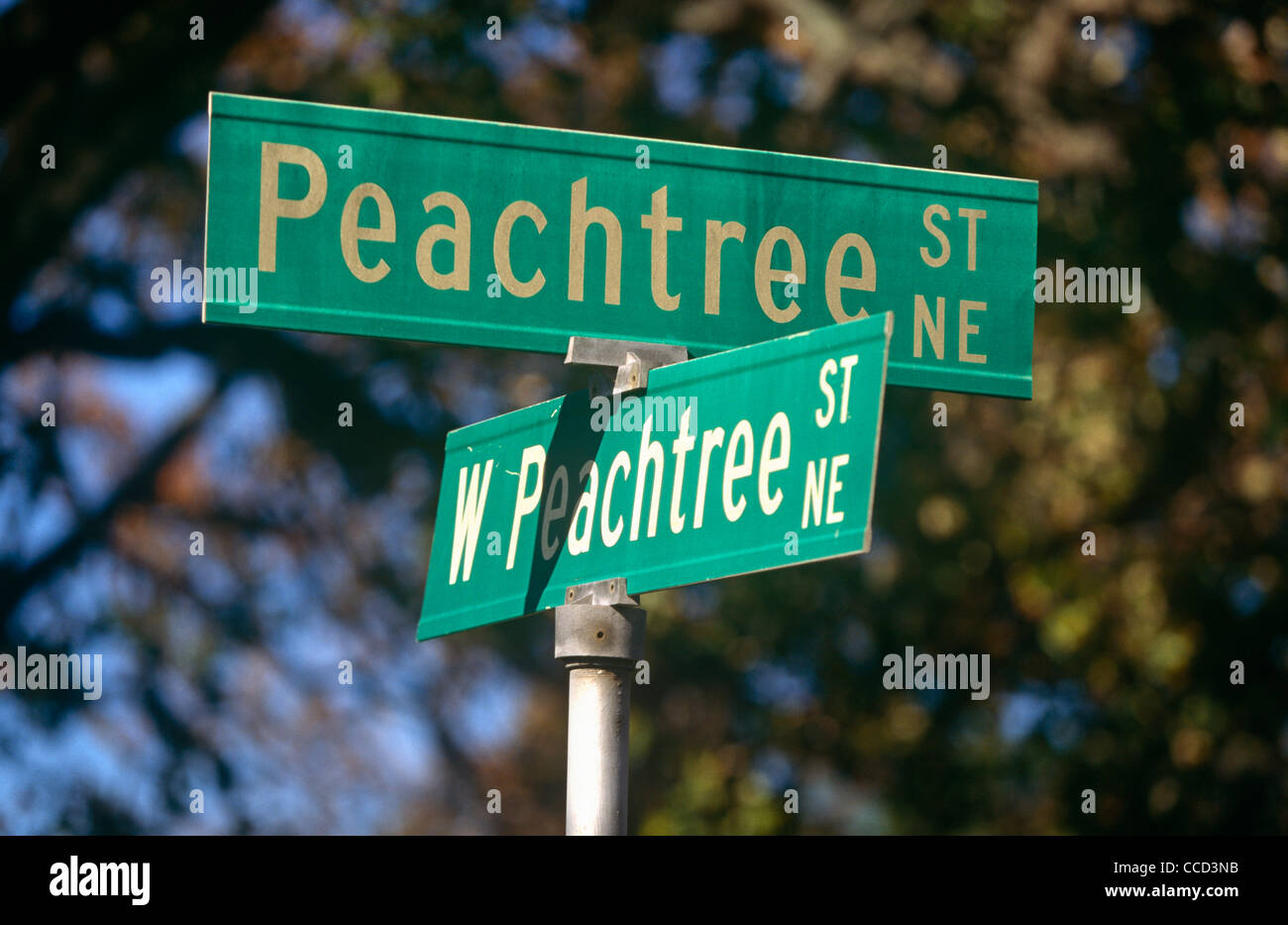 A confusing pair of street signs showing two of the 71 Peachtree street and road names known in Atlanta. Stock Photo