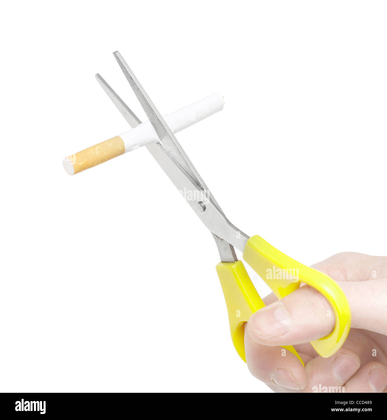 A hand cutting cigarettes Stock Photo