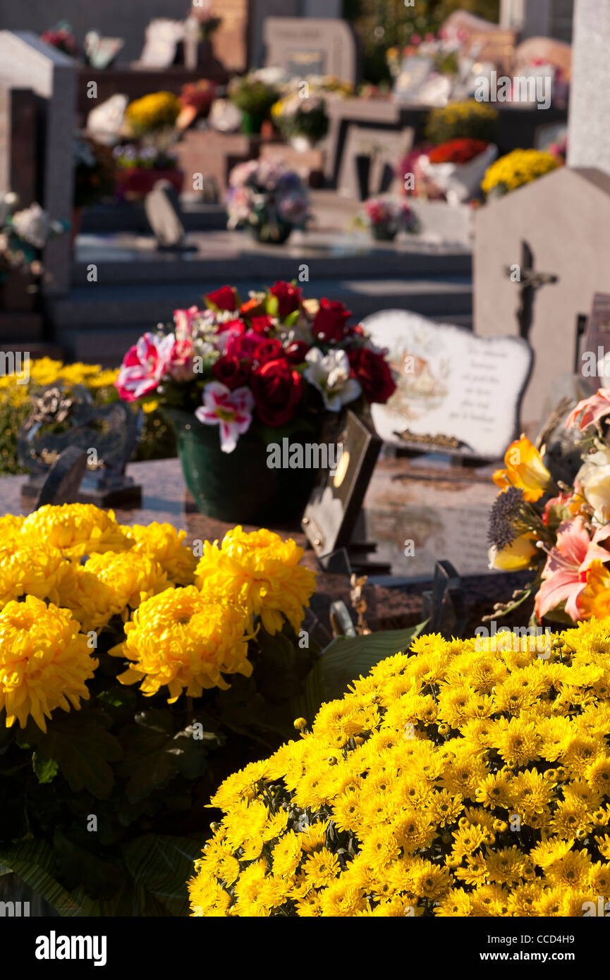 Chrysanthemum on a grave in a cemetery All Saints' Day, France Stock Photo Alamy